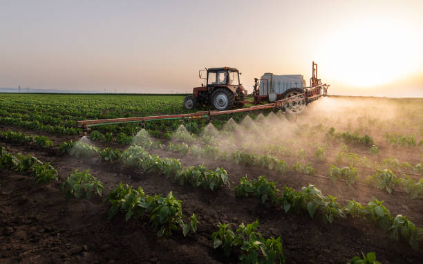 Best Pest Control for Homes  in Sabina, OH