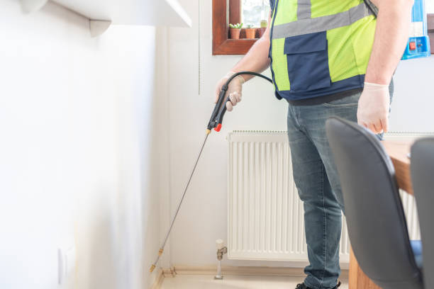 Flea Control Services in Sabina, OH