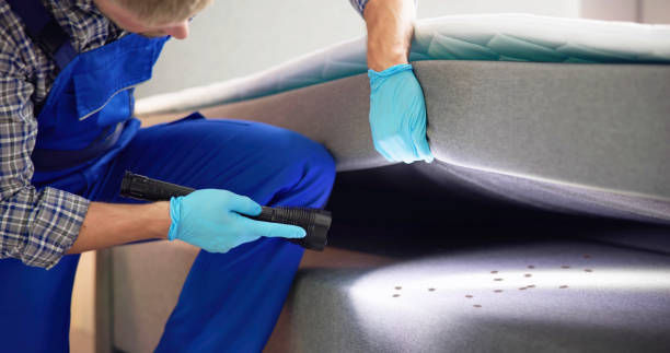 Best Residential Pest Control  in Sabina, OH